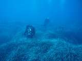 2013-09-08 16-34-18 Stefan